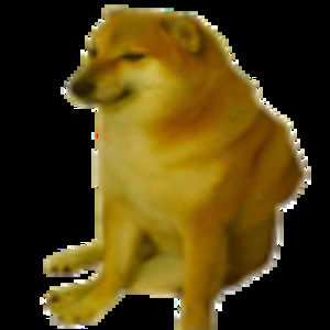 Meet your Posher, Joseph